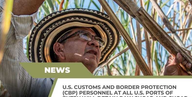 US Border Customs